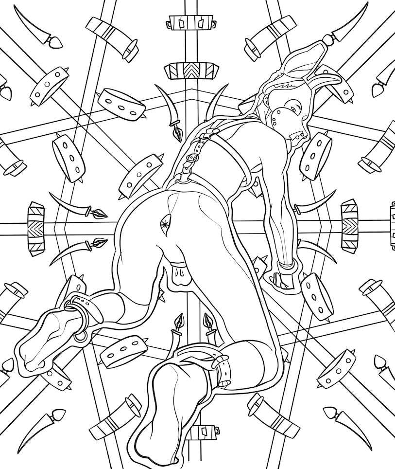 "BDSM" Coloring Book by Tomáš Horych