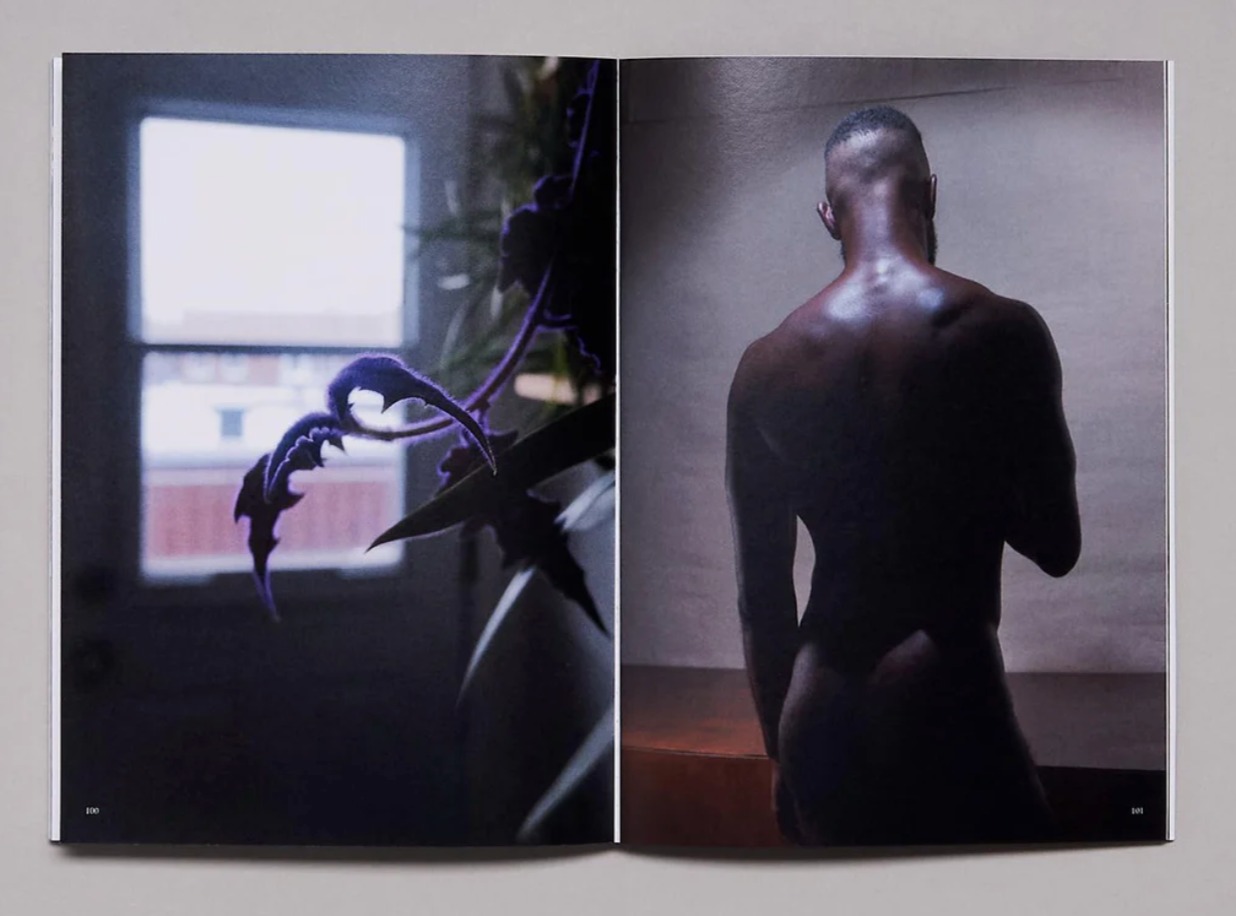 "Pretty Sure This Plant Is Queer" Zine