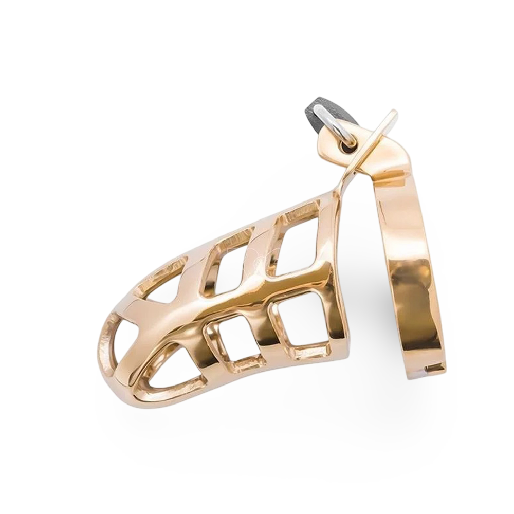 Chastity Cage "Brutal" Gold steel