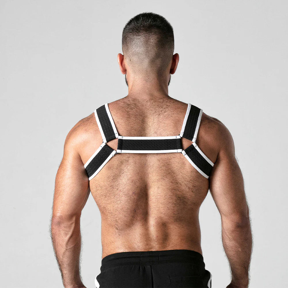 LOOK AT HARNESS by Locker Gear