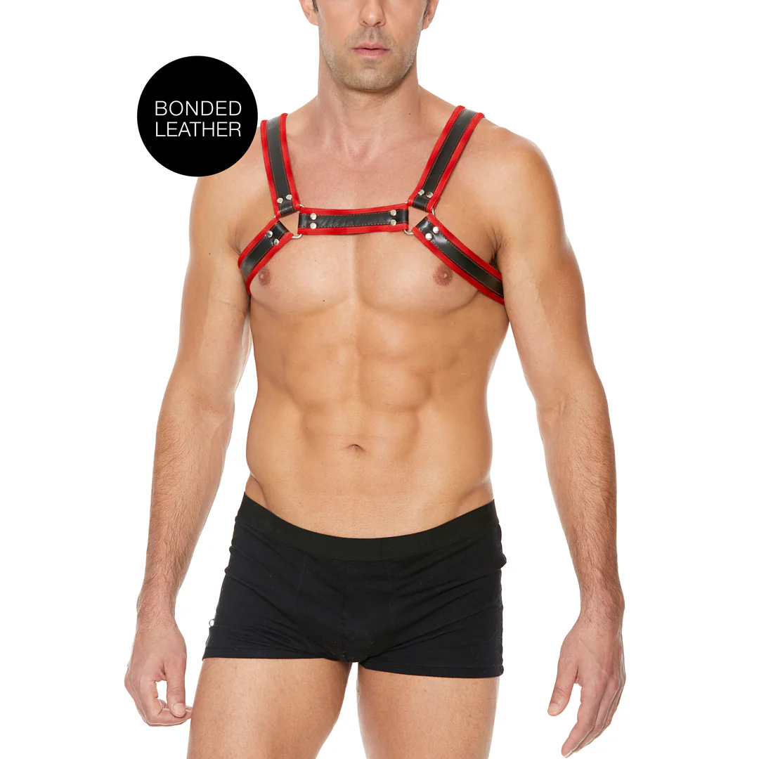 Leather Bulldog Harness with Buckles S/M Black&Red
