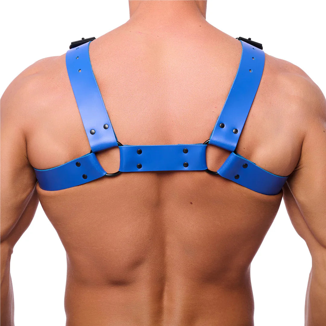 Thick Bulldog Leather Harness Blue