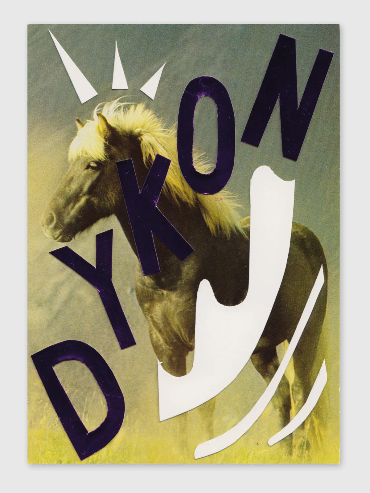 Queer Horses