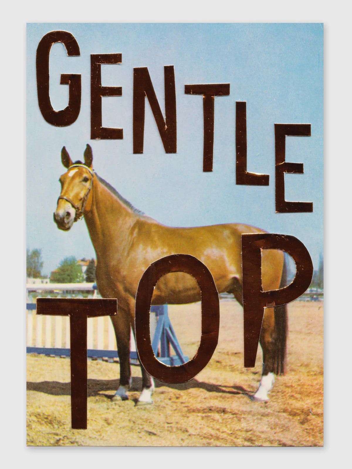 Queer Horses