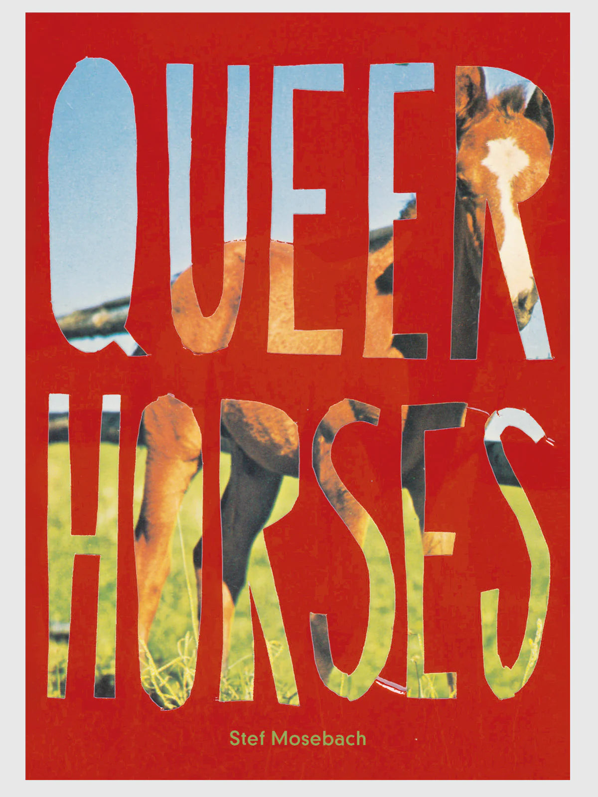 Queer Horses