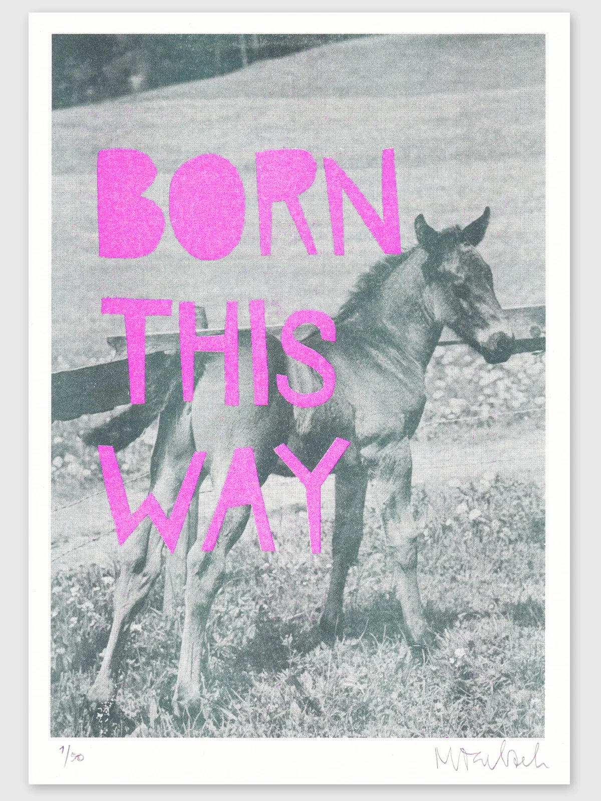 Born This Way - Riso Print by Stef Mosebach