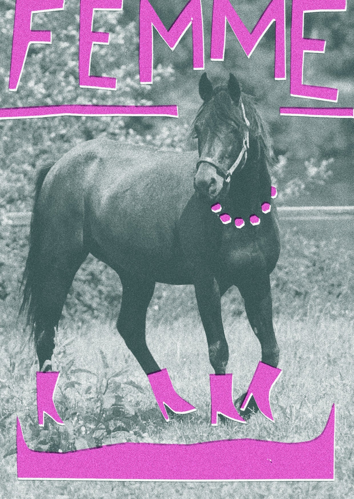 Queer Horses