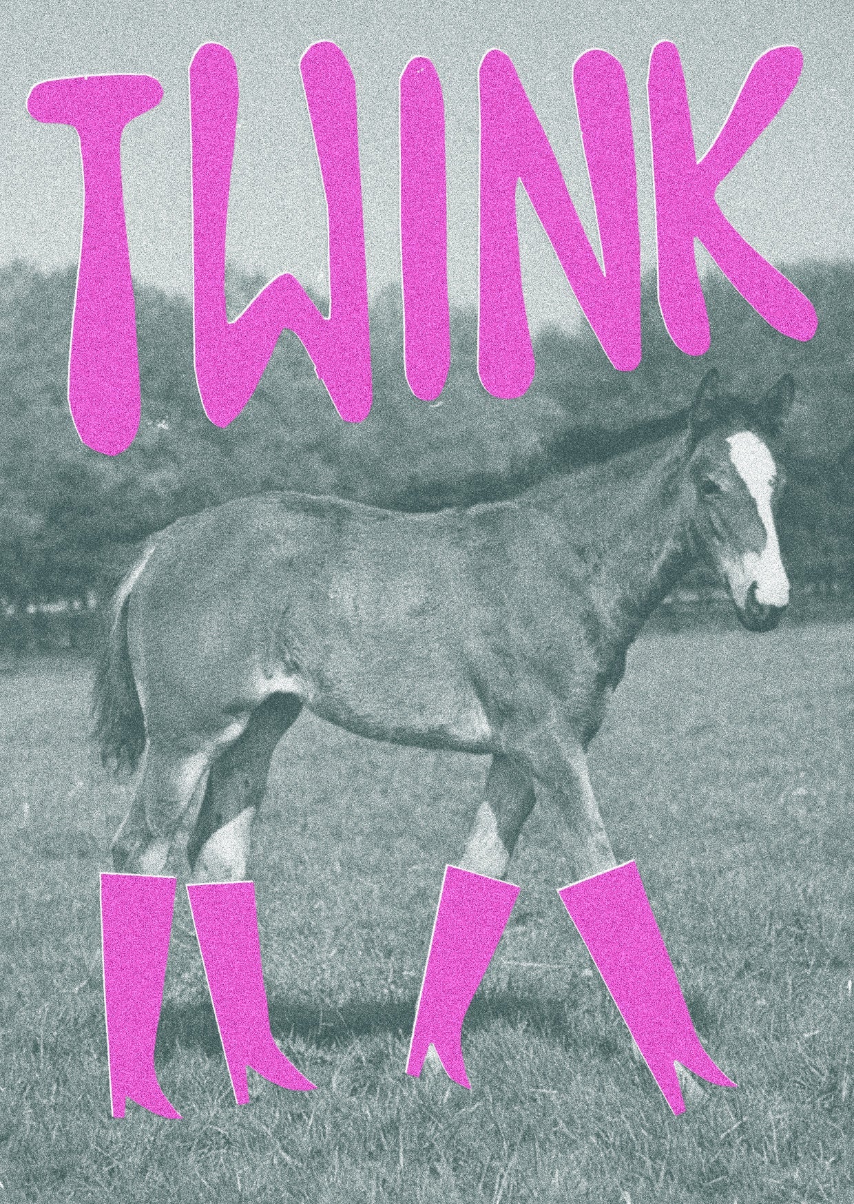 Queer Horses