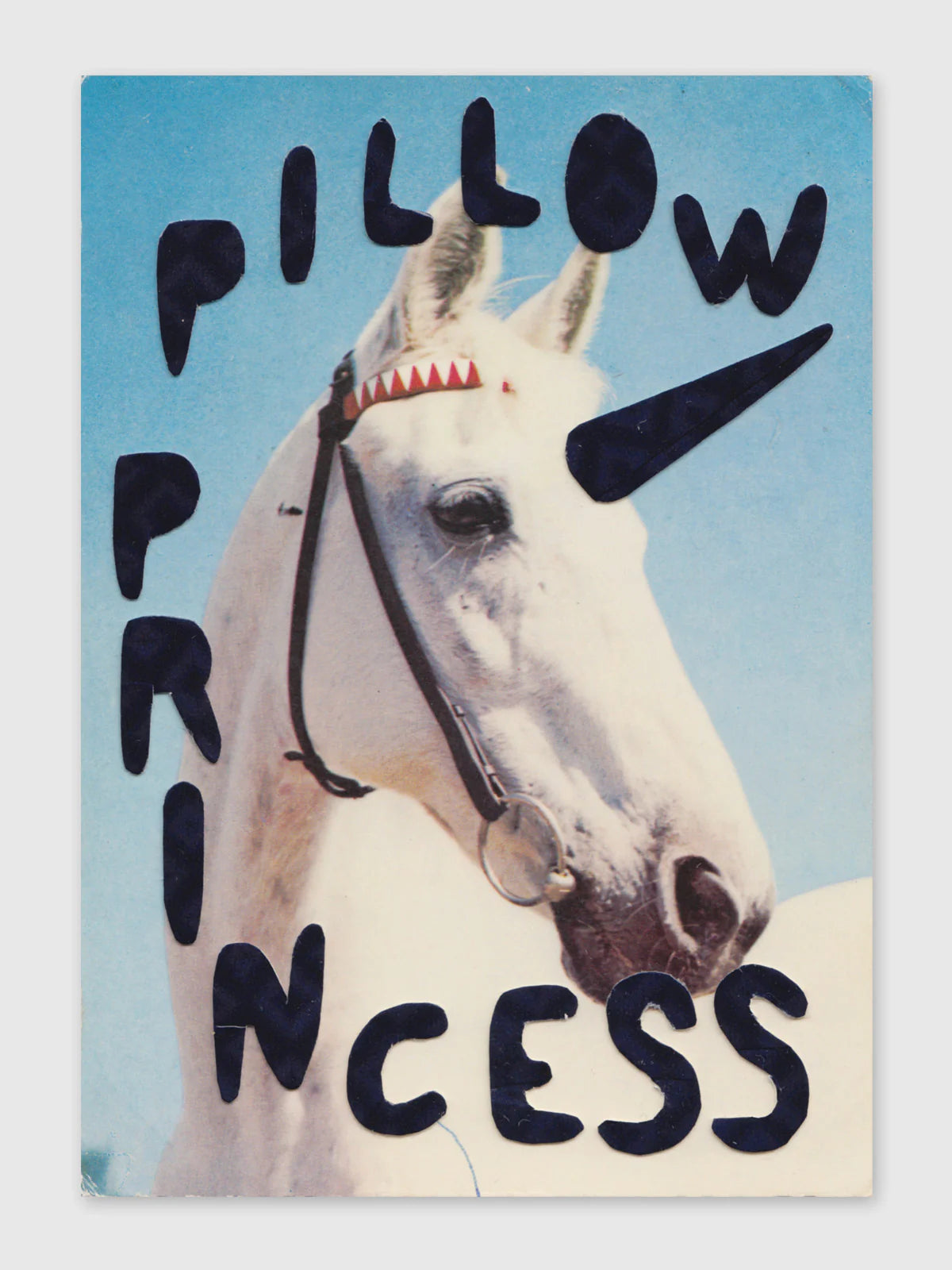 Queer Horses