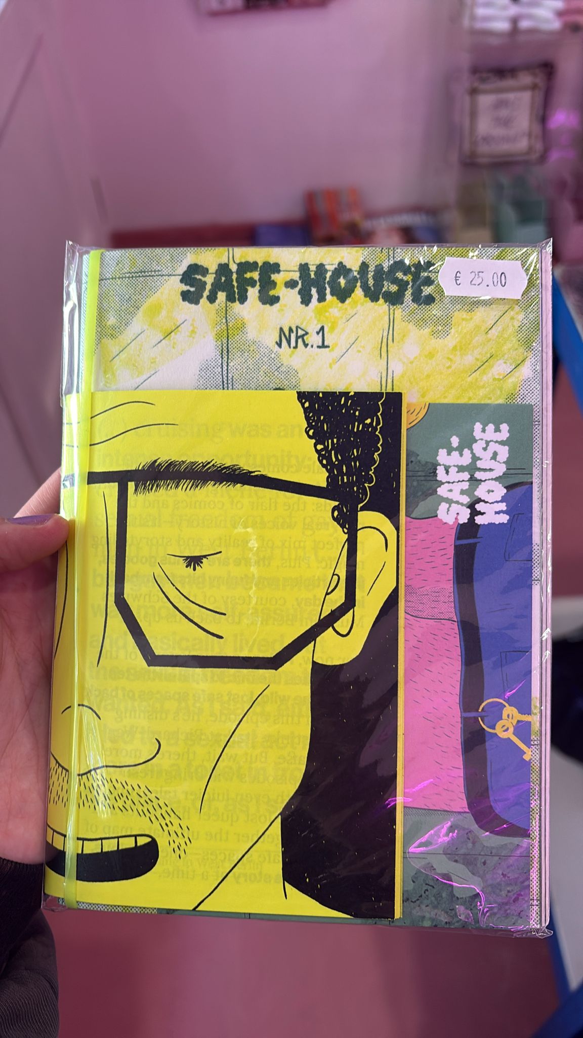 "Safe-House Nr.1" Riso Zine by URCA Illustrations