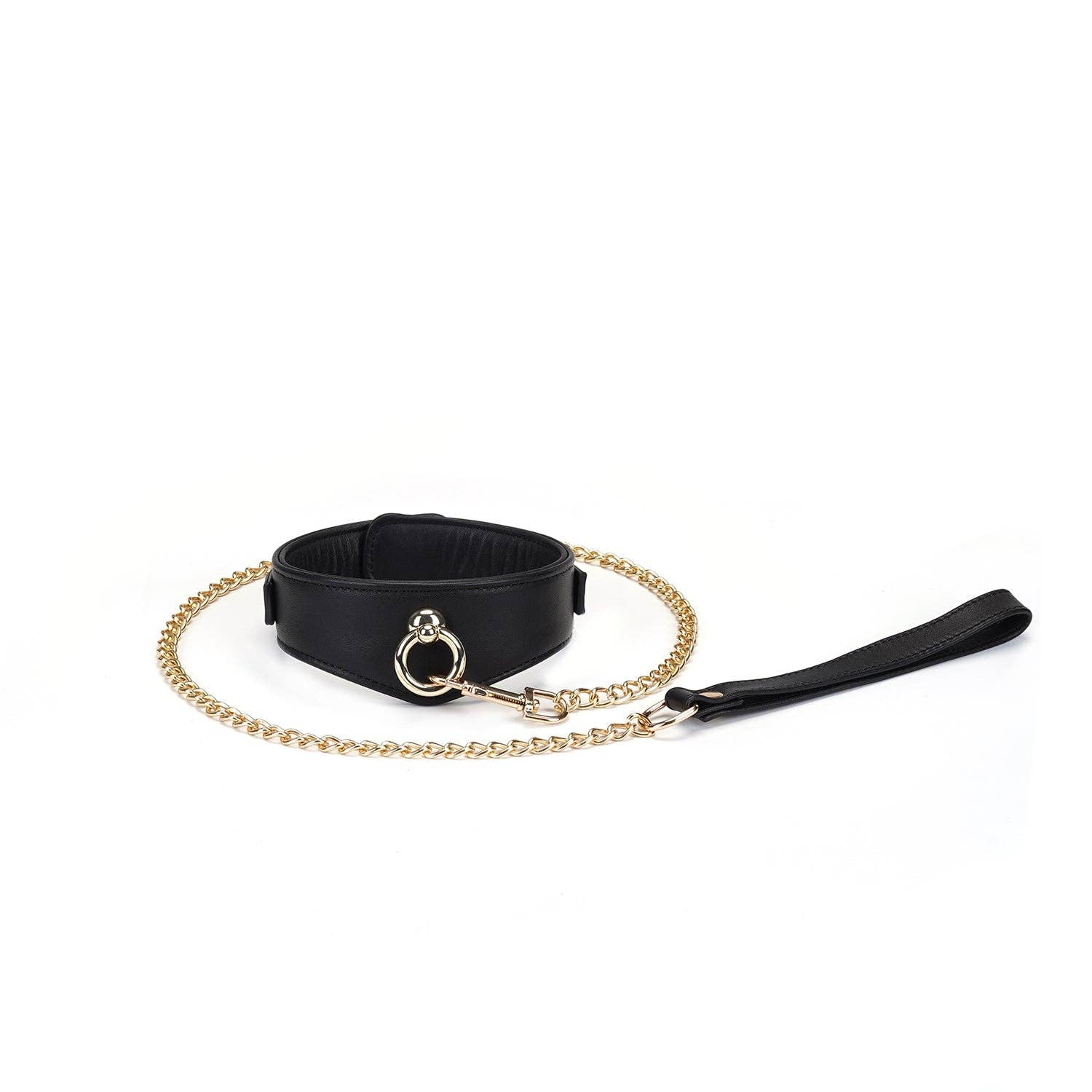 Dark Secret Black Deluxe Curved Collar with Lock