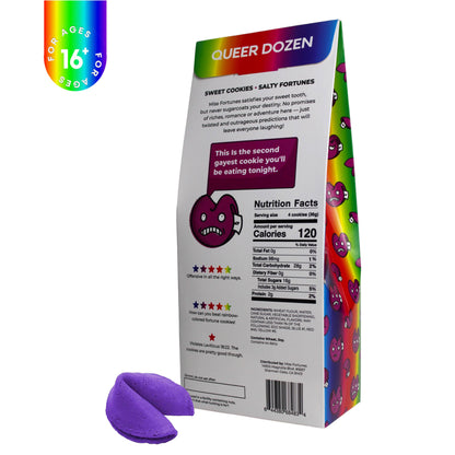 The Queer Dozen - Make The Yuletide Super Gay!