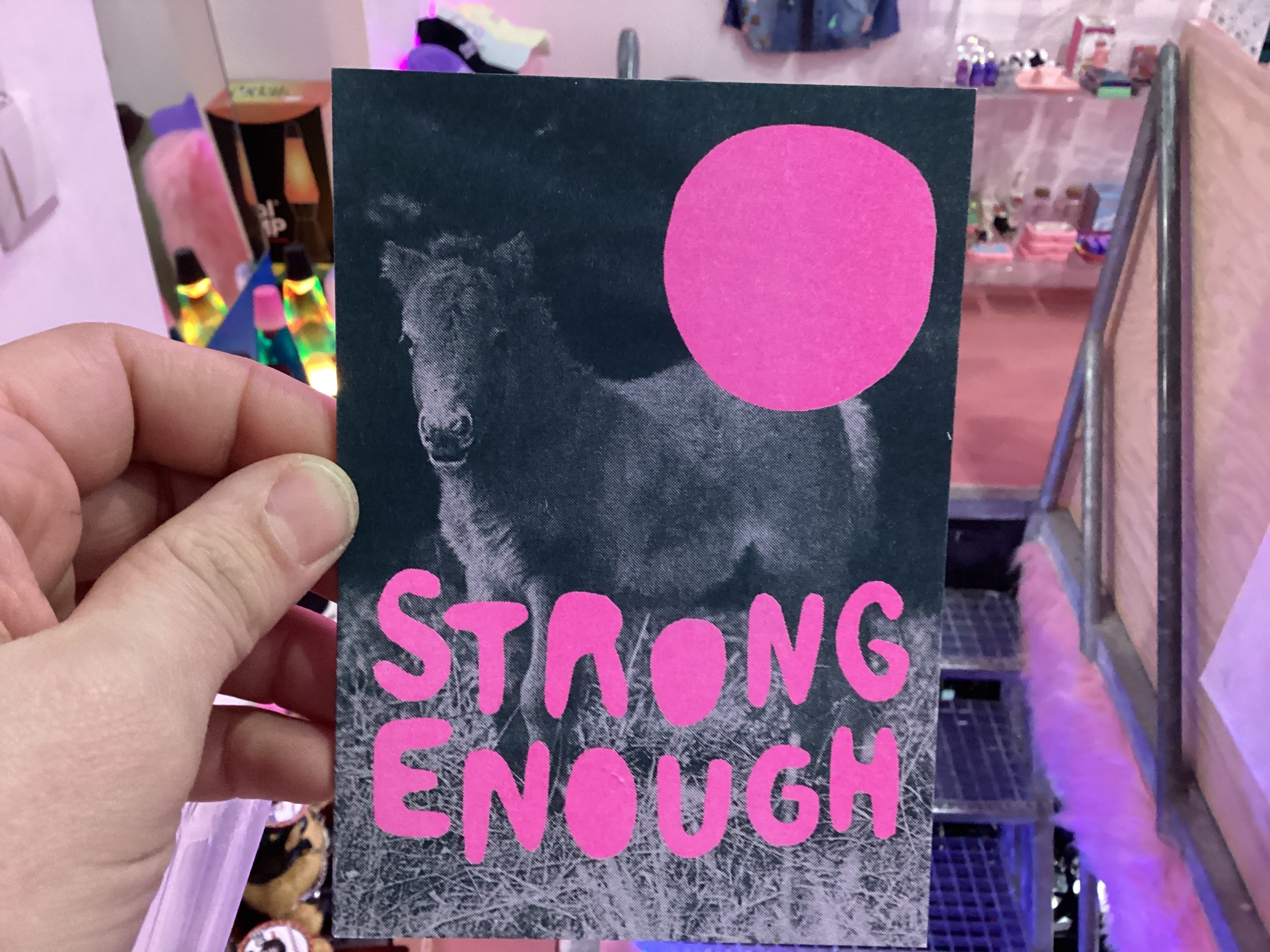 Horse postcards