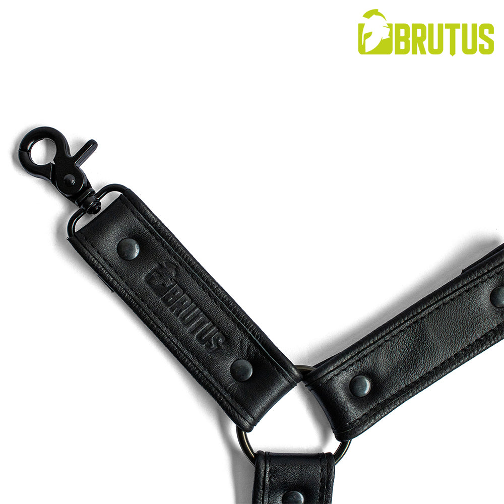 BRUTUS Leather Leg Harness Black-Black