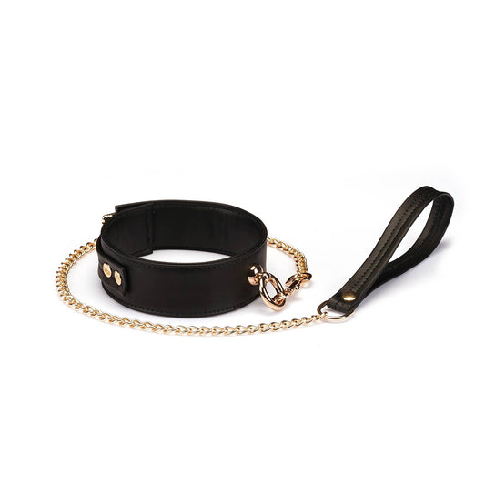 Black Organosilicon Collar with Leash Gold