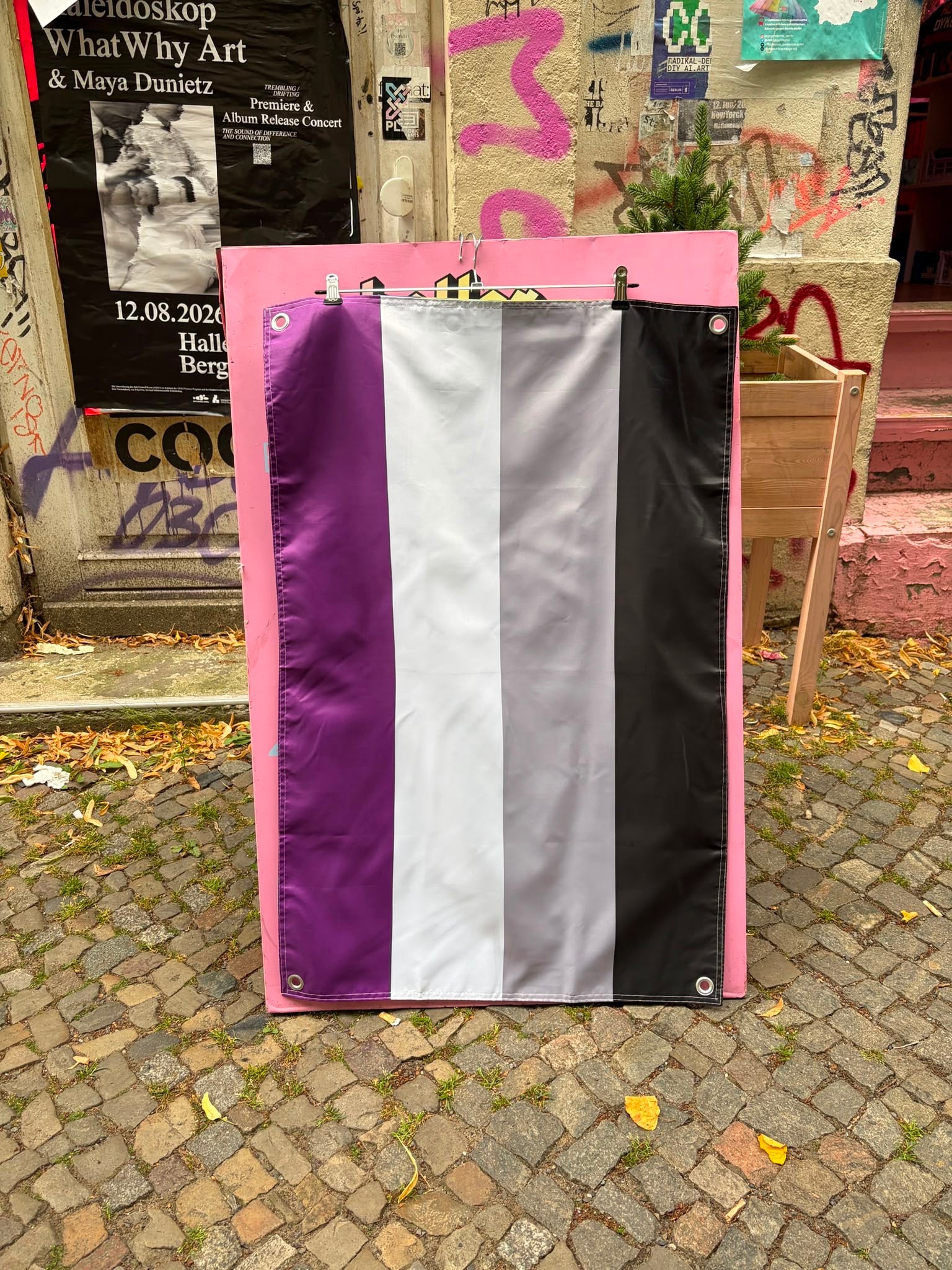 Double-sided Pride Flag "Progressive/Asexual" 60x90 cm