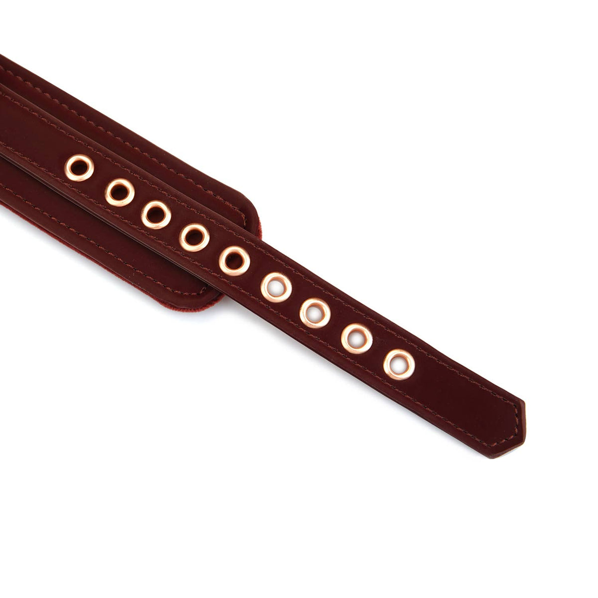 Metallic Shade Burgundy Vegan Collar with Leash