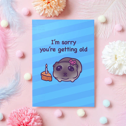 Sorry you're getting old | Funny Birthday Card: A6