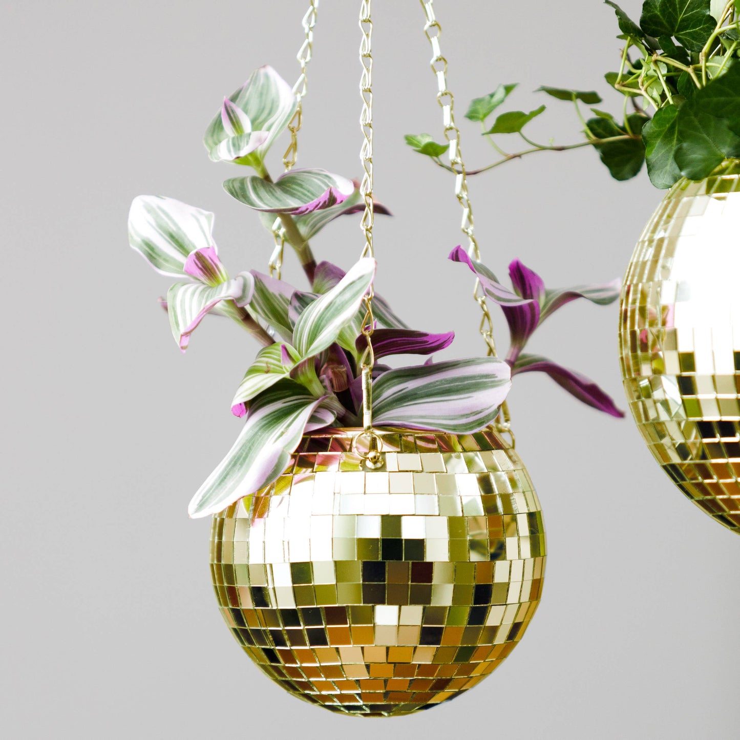 Disco Ball Hanging Planter - Gold (6in)