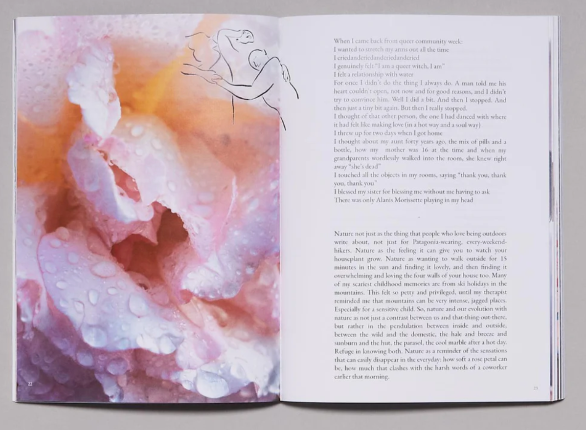 "Pretty Sure This Plant Is Queer" Zine