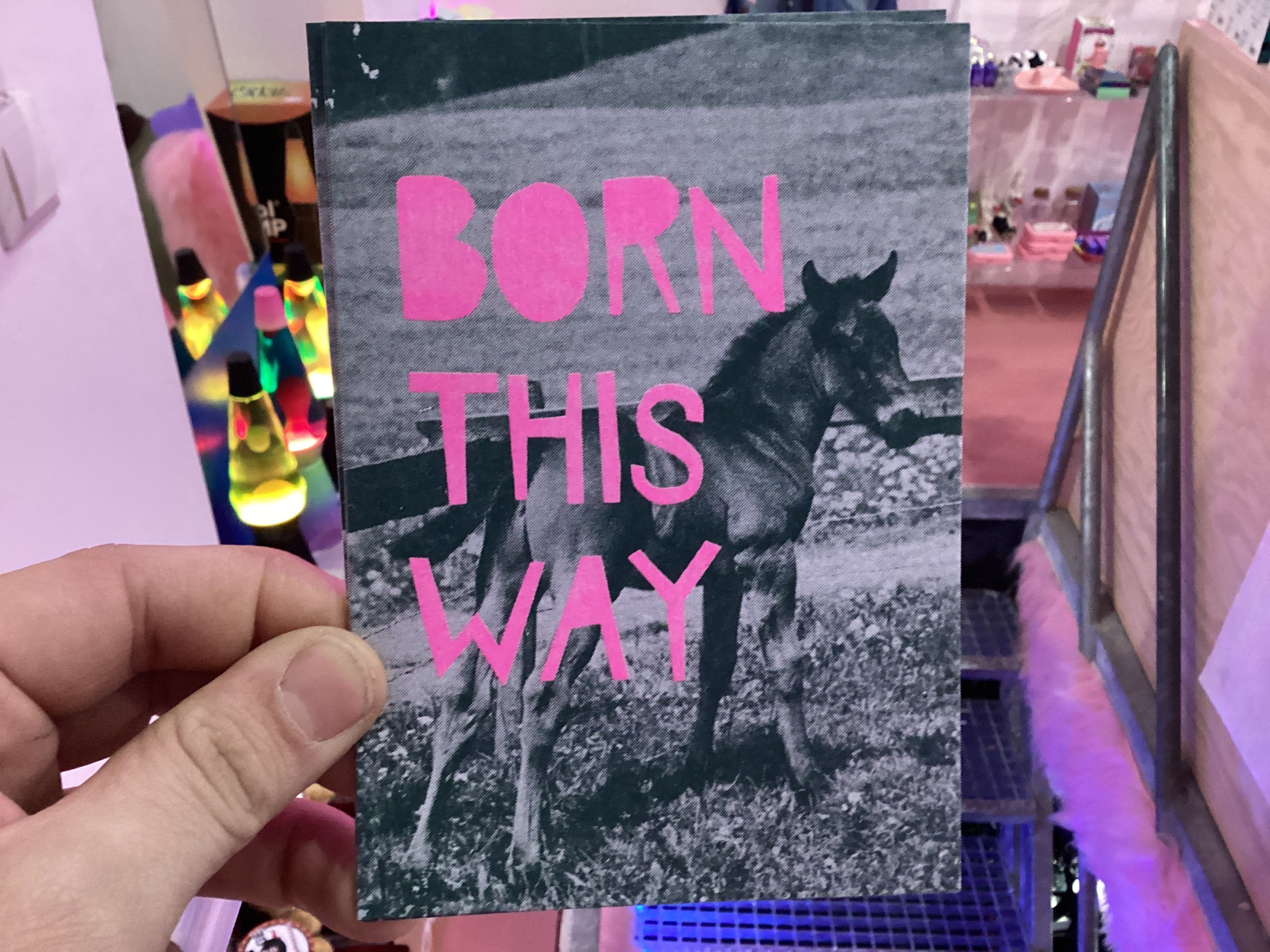 Horse postcards