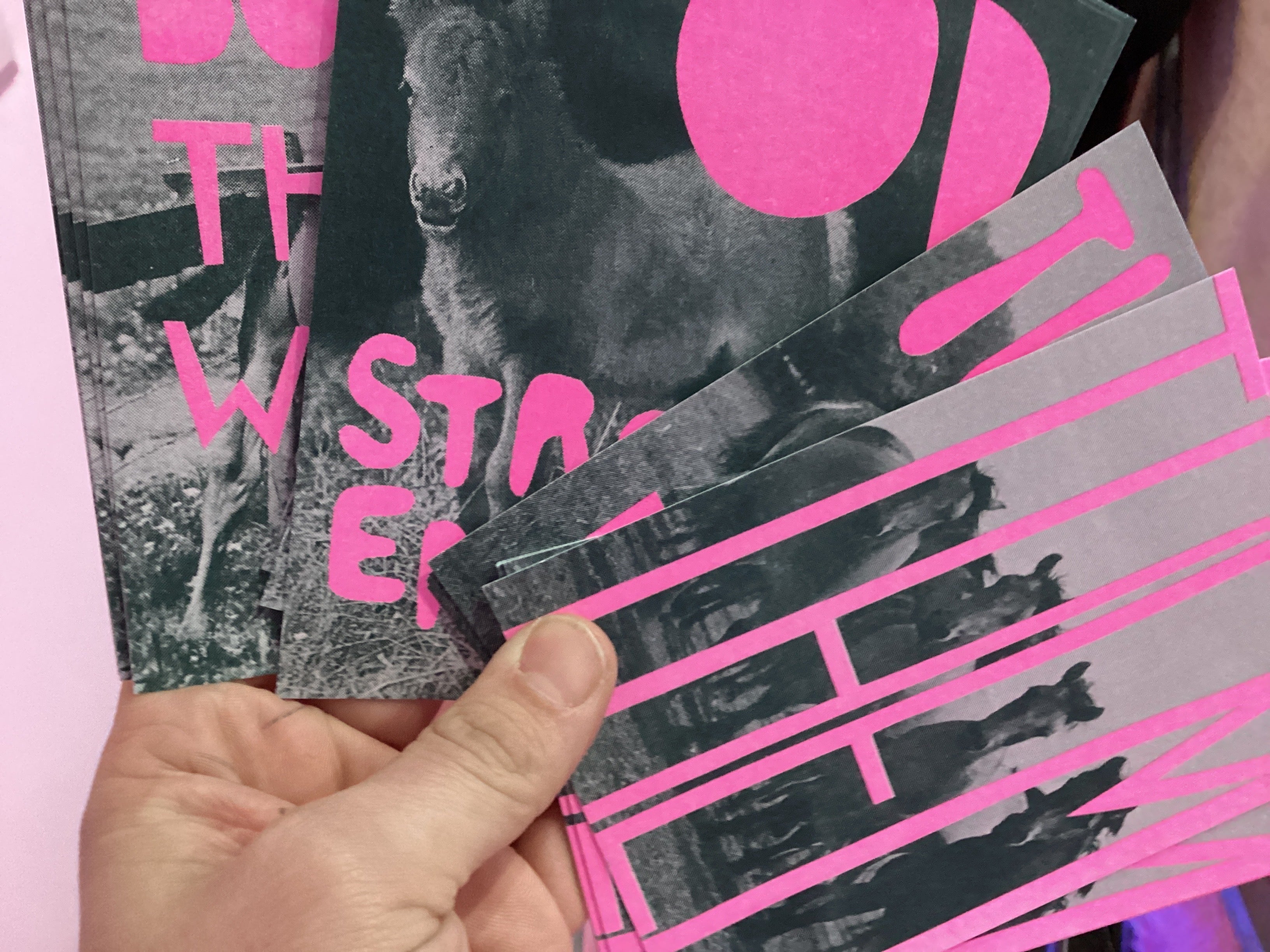 Horse postcards