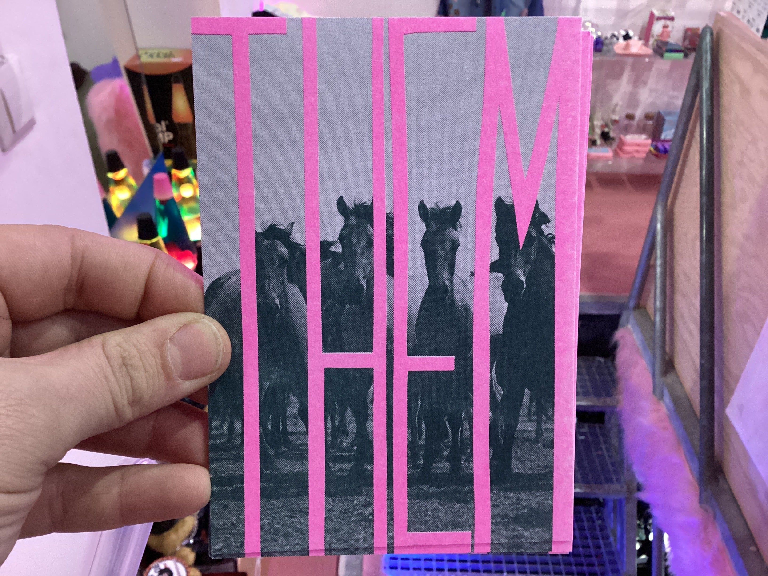 Horse postcards