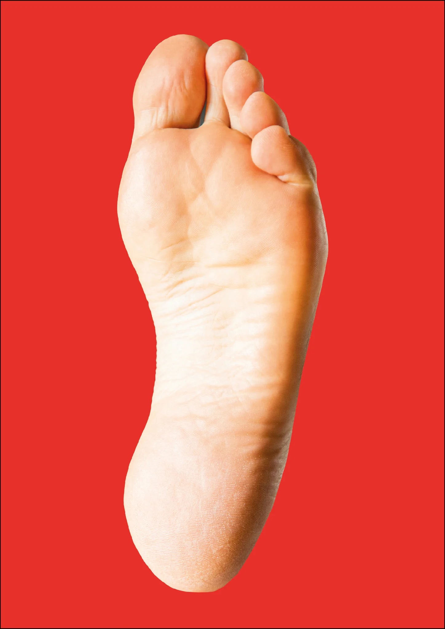 Fluffer Zine - Feet