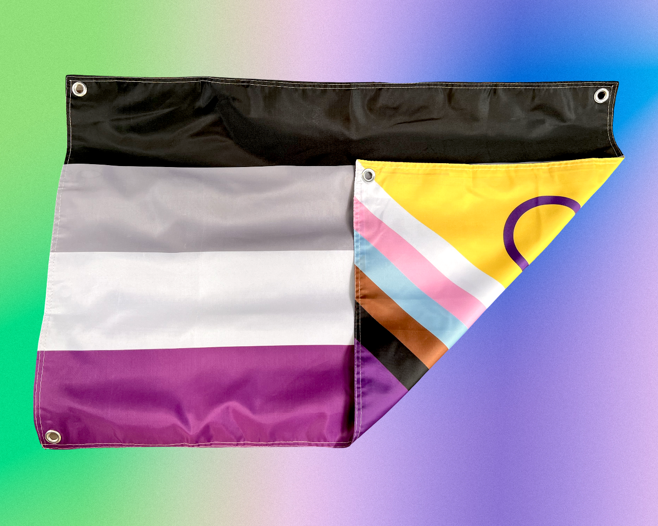 Double-sided Pride Flag "Progressive/Asexual" 60x90 cm