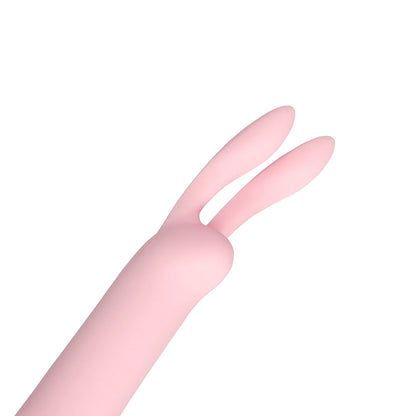 Mini Rabbit Vibrator with USB Charger Cherry Chiffon