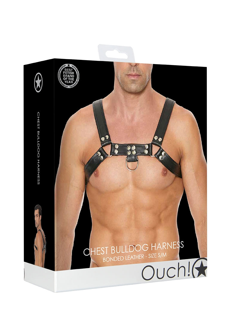 Chest Bulldog Harness Black (Two Sizes)