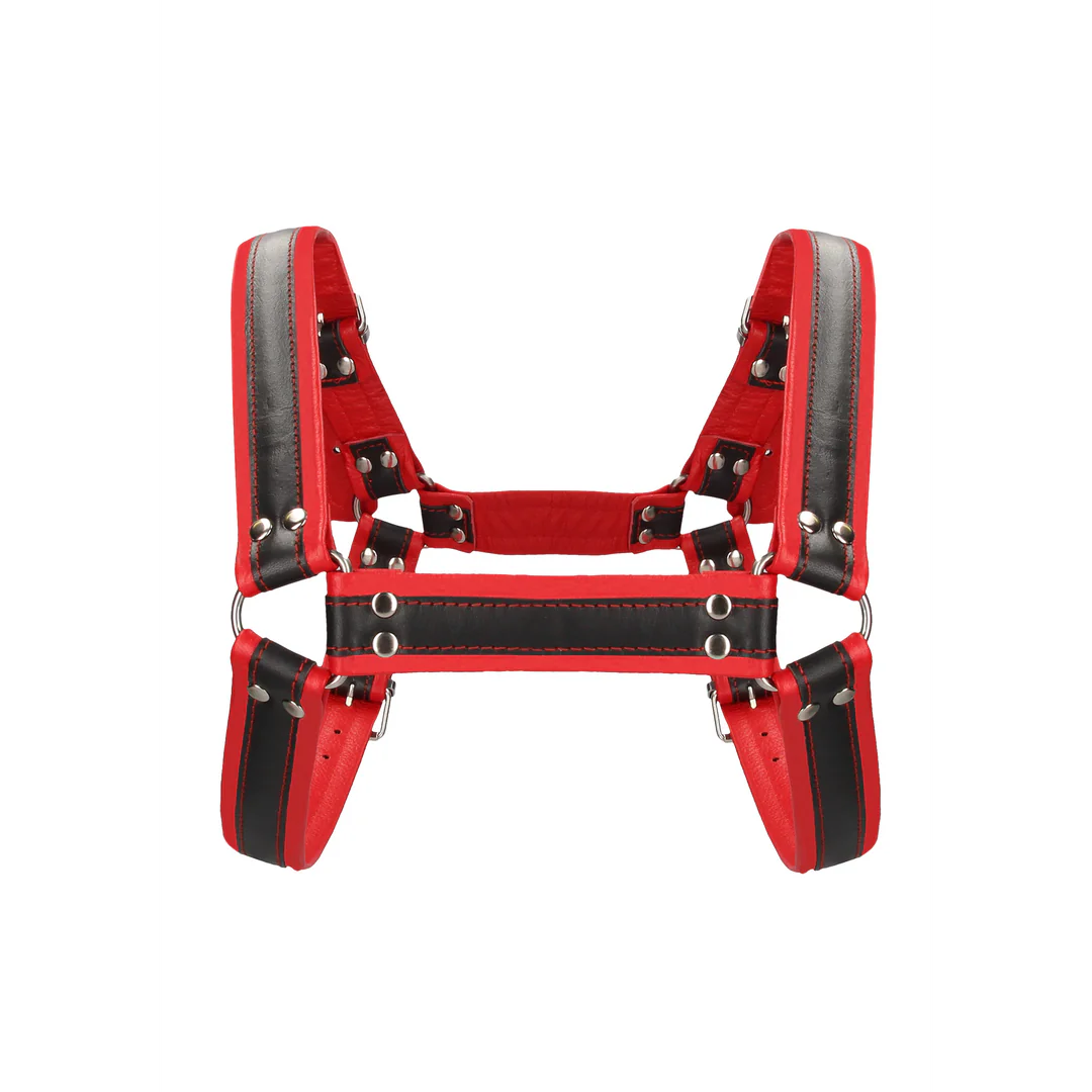 Leather Bulldog Harness with Buckles S/M Black&Red