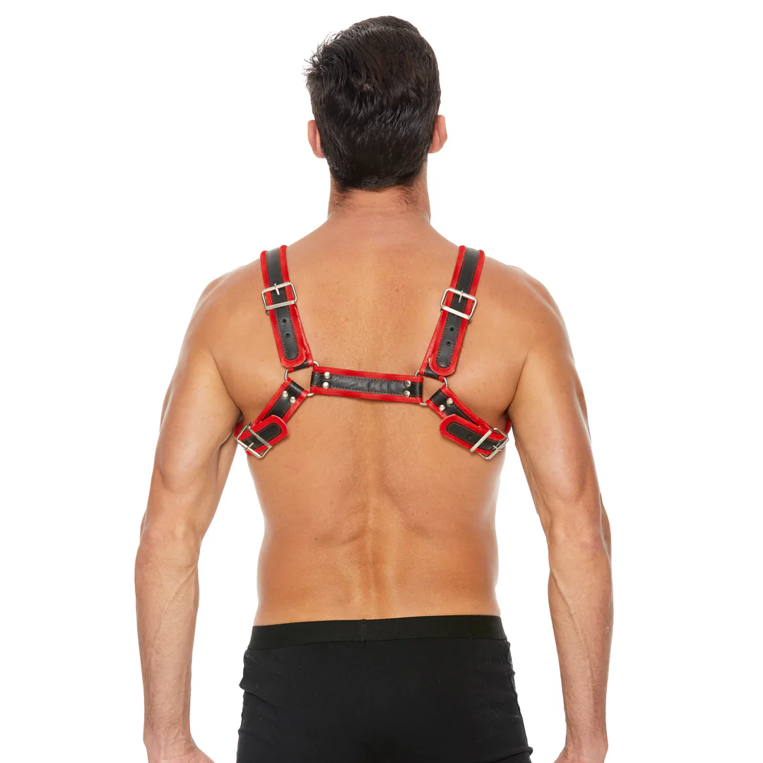 Leather Bulldog Harness with Buckles S/M Black&Red