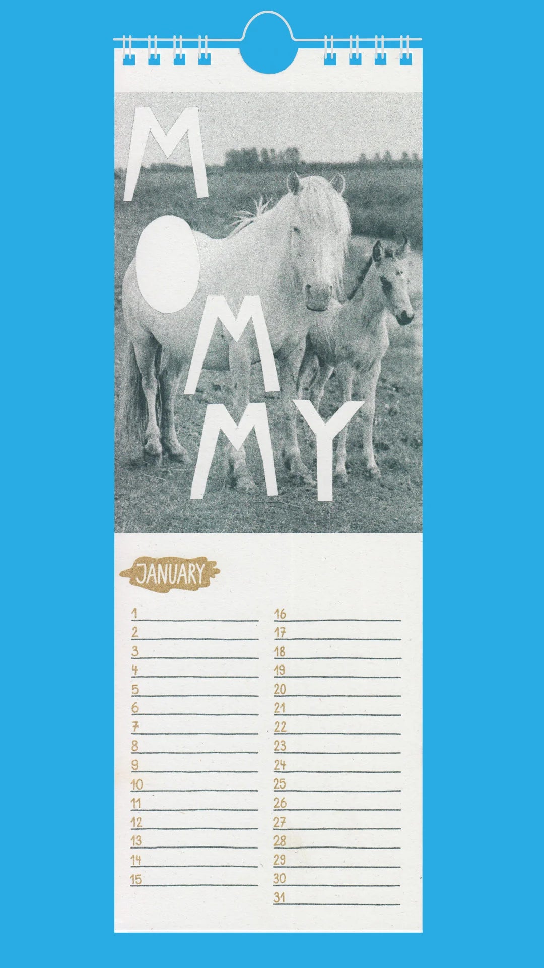Queer Horses Riso Kalender