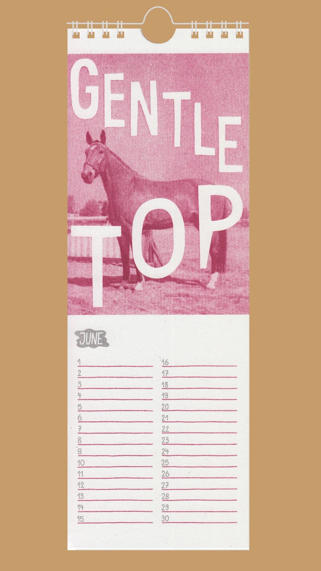 Queer Horses Riso Kalender