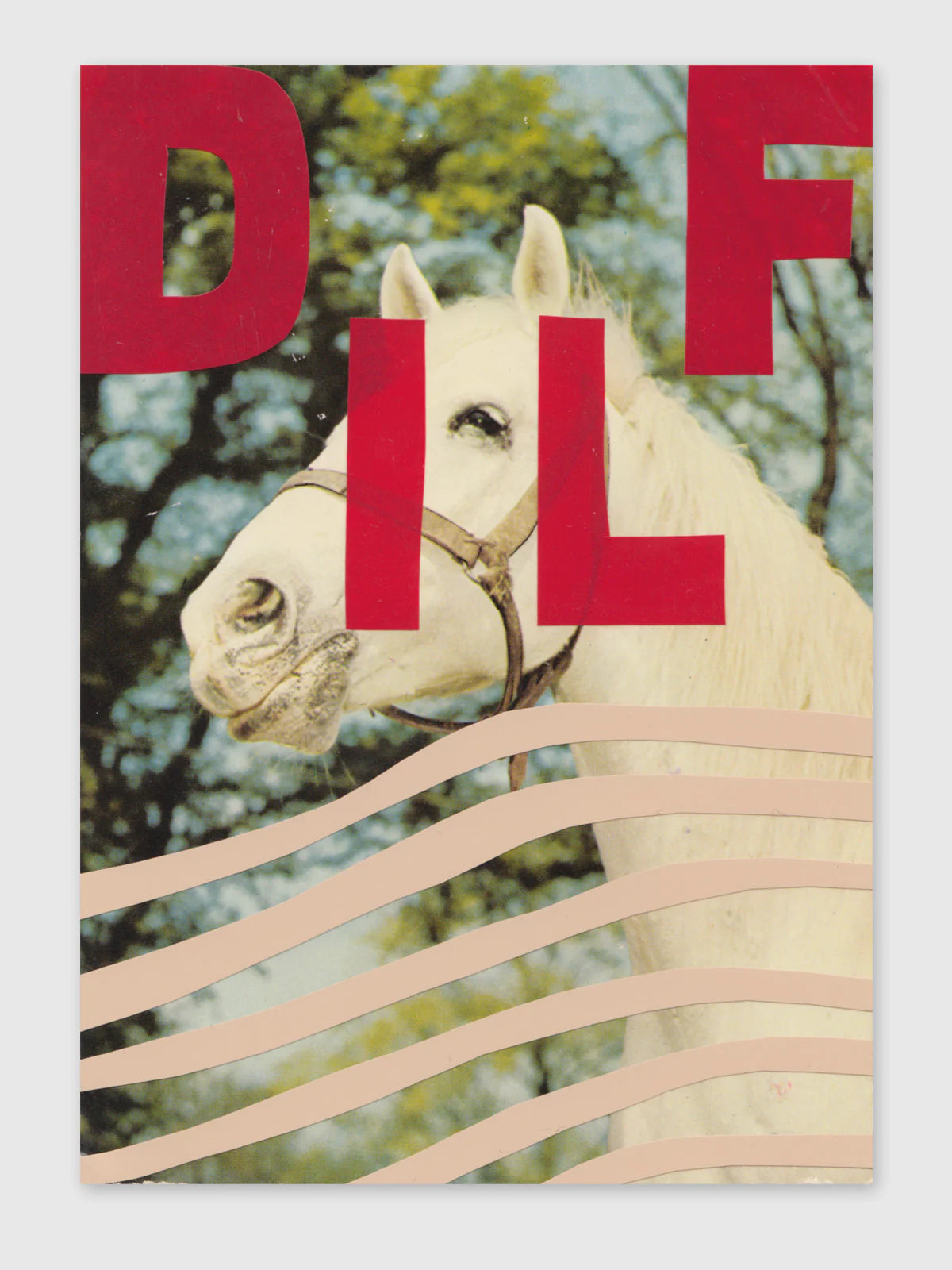 Queer Horses