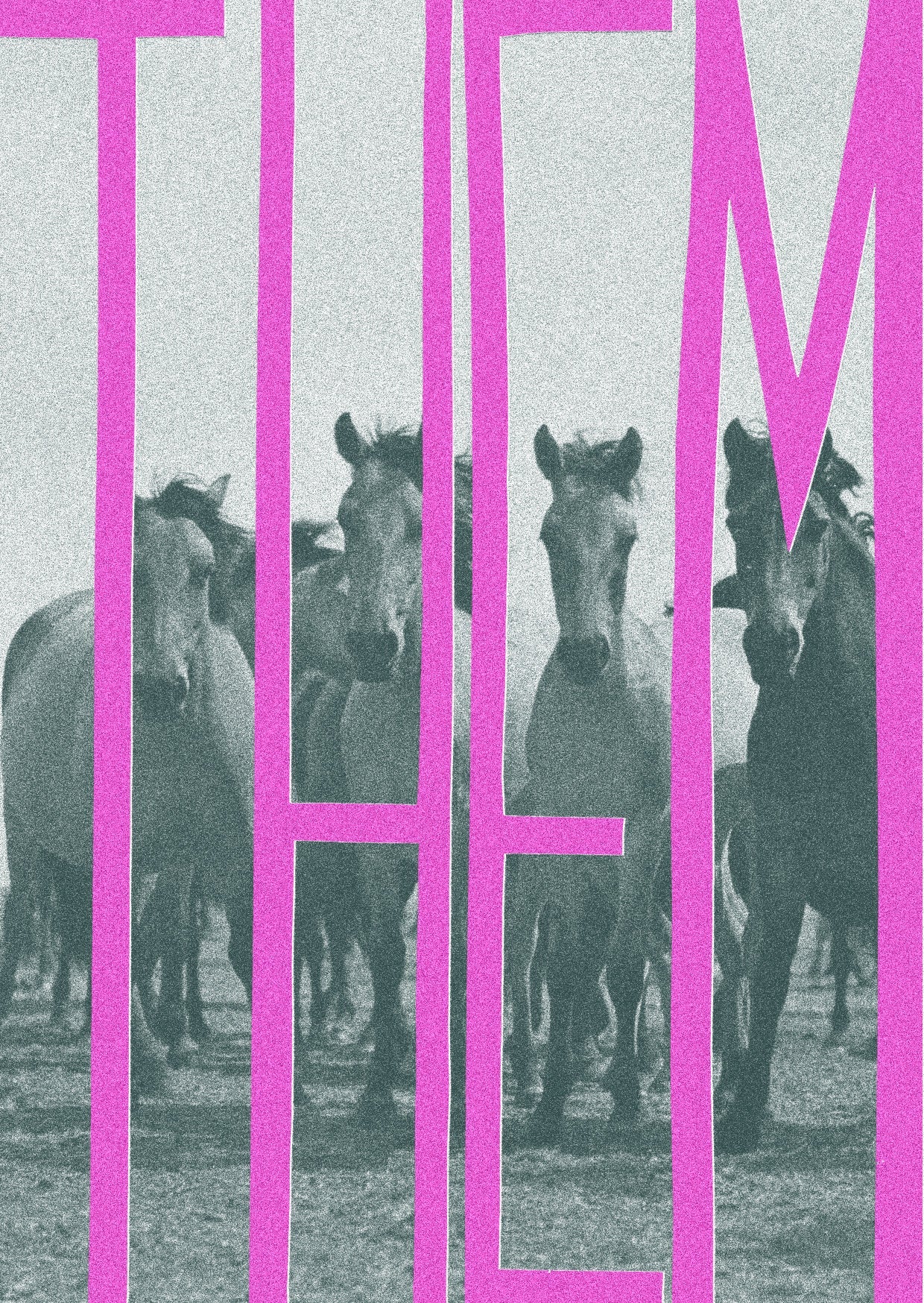 Queer Horses