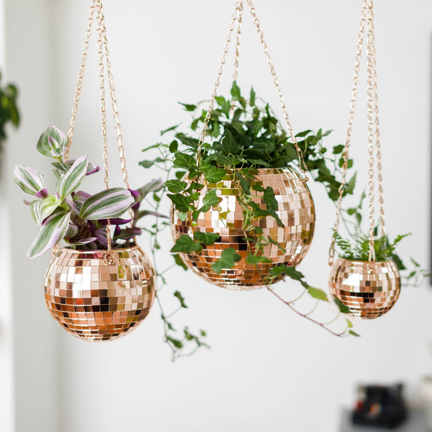 Disco Ball Hanging Planter - Rose Gold (6in)