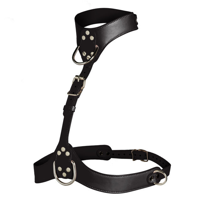 Vixen - Femme Chest Harness (One Size)