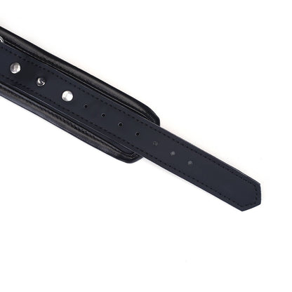 Vegan Fetish Collar and Leash with Stud