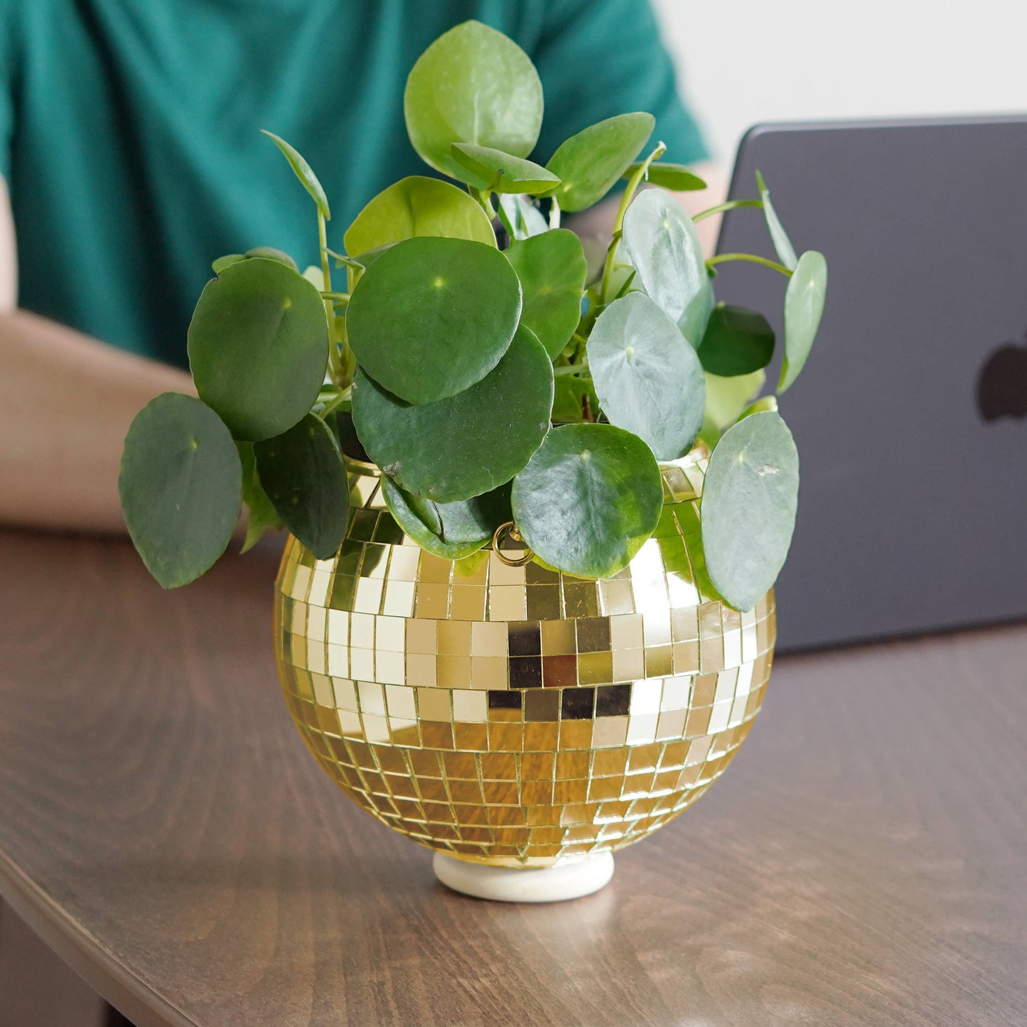 Disco Ball Hanging Planter - Gold (6in)