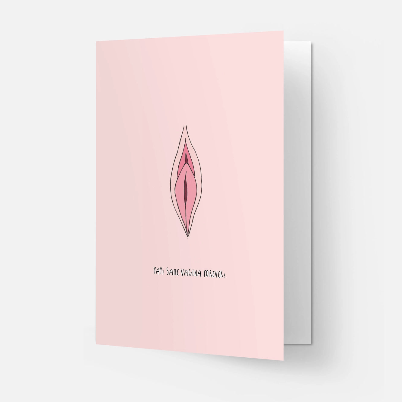 Same Vagina Greeting card