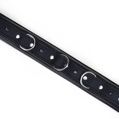 Vegan Fetish Collar and Leash with Stud