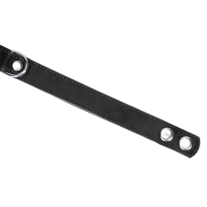 Metallic Shade Vegan Collar with Nipple Clamps