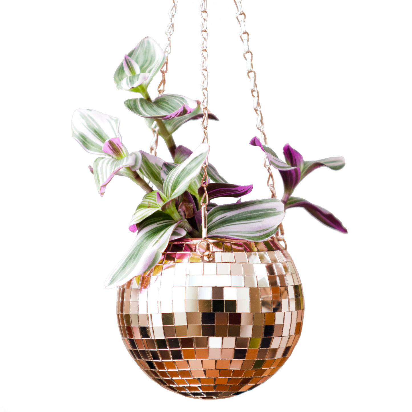 Disco Ball Hanging Planter - Rose Gold (6in)