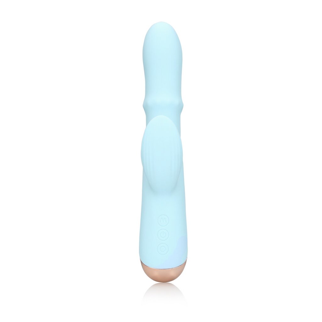 Pulse Wave and Up-And-Down Moving Ring Vibrator