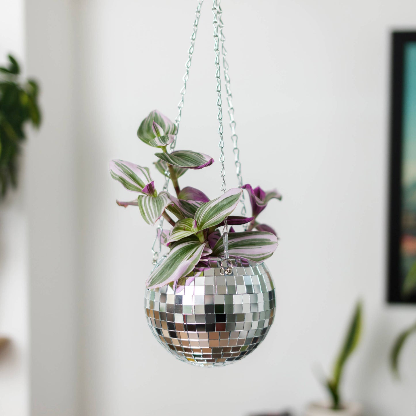 Disco Ball Hanging Planter (6 inch)