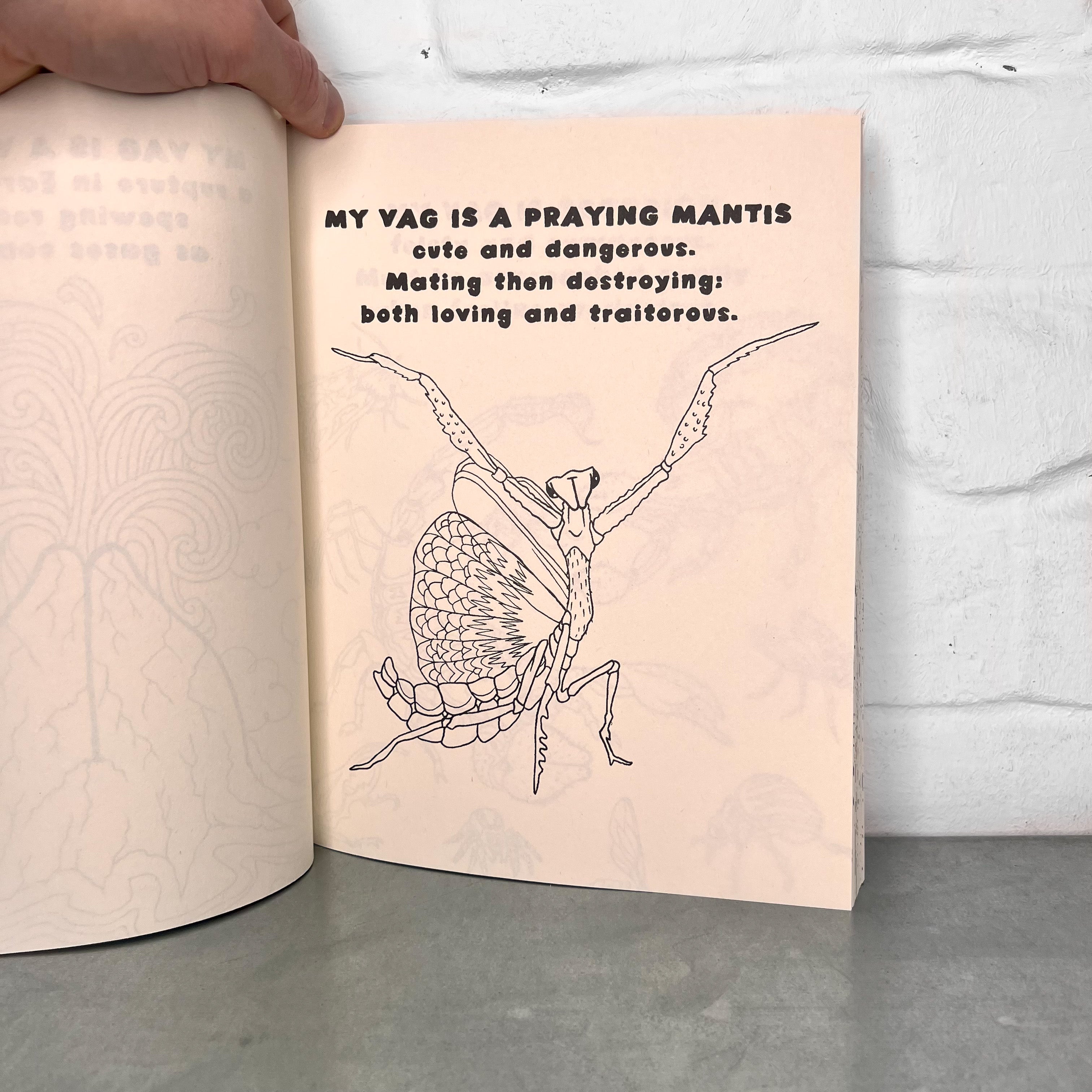 My Vag: A Rhyming Coloring Book