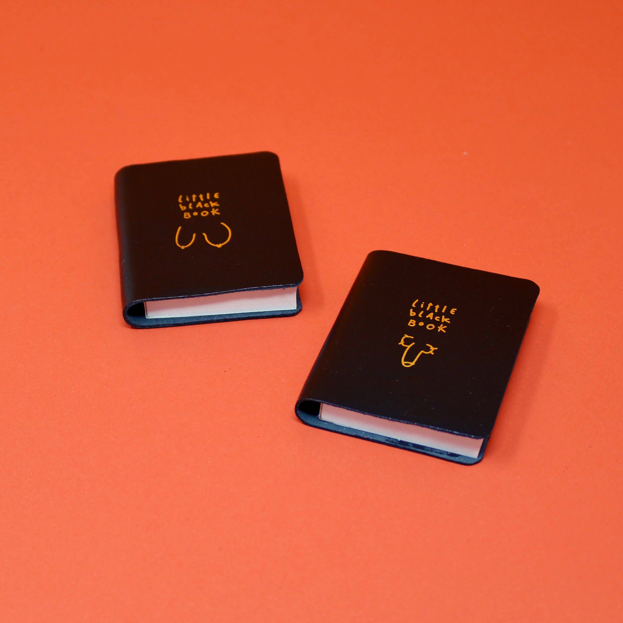 Little Black Book - Willy